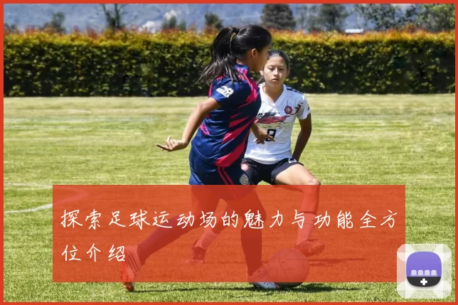 探索足球运动场的魅力与功能全方位介绍